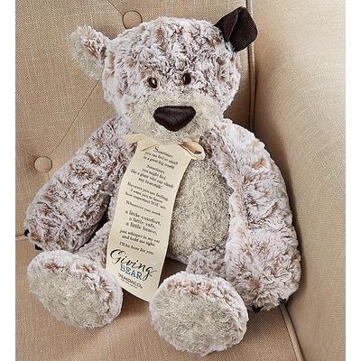 1-800-Flowers Everyday Gift Delivery The Giving Bear | Happiness Delivered To Their Door